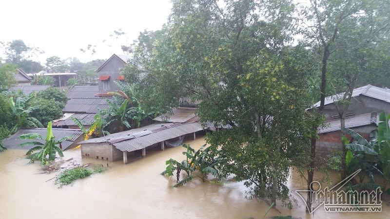 Mưa lũ cùng với nước lụt dâng cao đã khiến hàng trăm nhà dân tại huyện Phong Điền chìm trong nước lớn