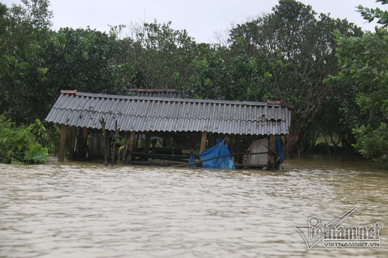 lũ cuốn,sạt lở trên đèo Hải Vân,thuỷ điện xả lũ,mưa lũ,mưa lũ ở Thừa Thiên - Huế