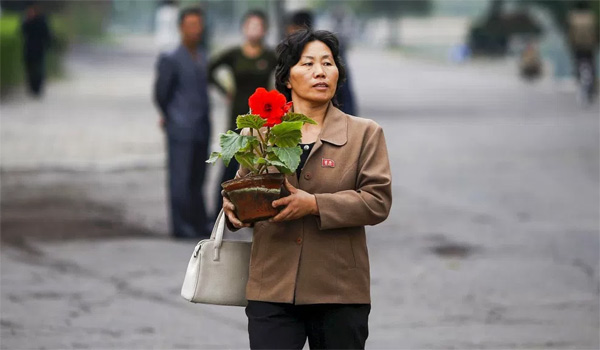 Một phụ nữ mang chậu hoa ở trung tâm Bình Nhưỡng. (Ảnh: Reuters)