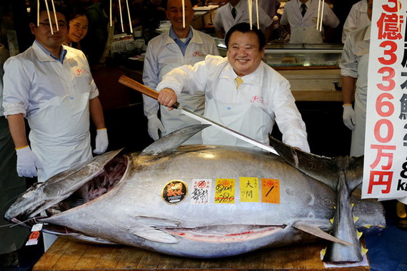 Cận cảnh con cá ngừ &quot;khủng&quot;, giá hơn 71 tỉ đồng