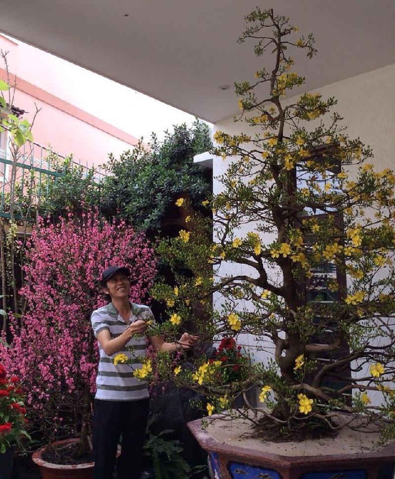 Nghệ sĩ Hoài Linh chụp ảnh cùng cây mai nở rộ và chia sẻ: “Năm nay đón tết lại có cả mai lẫn đào, hết Tết rồi mà cả 2 vẫn rực rỡ quá trời”.
