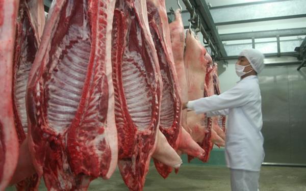 Nguồn cung thịt lợn những tháng cuối năm dự kiến sẽ khan hiếm, đẩy giá tăng cao